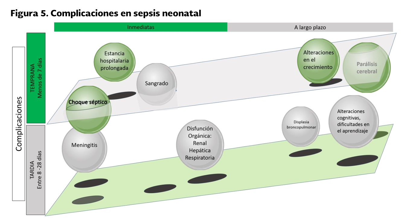 5. Complicacion 3 - GPC-SS-283-19